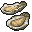 Oysters (調理済)
