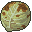 Cabbage_Rotten.png