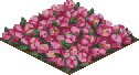 F flowerbed 1 0.png
