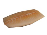 Salmon Model.png