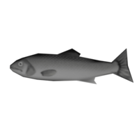 BassFish Model.png