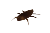 Cockroach Model.png