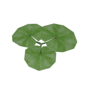 CommonMallow Model.png