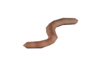 Worm Model.png