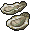 Oysters.png