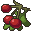 Berries red.png