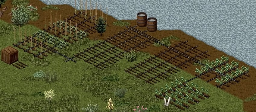 an example of a drip irrigation network