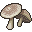 Mushroom1 Anim.gif