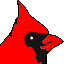 Cardinal decal, possibly referencing Aiteron