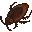 Cockroach (Cooked)
