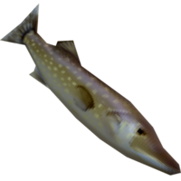 Pike Model.png