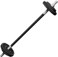 Barbell Model.png