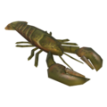 Raw lobster.