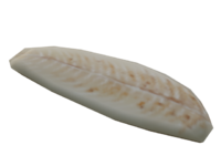 FishFilletCooked Model.png