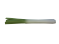 Leek model when placed in the world.