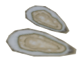 Cooked oysters model when placed in the world.