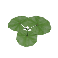 CommonMallow Model.png